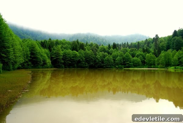 Karagol