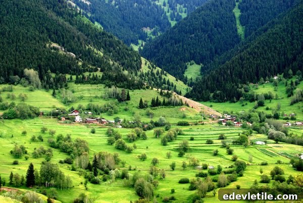 National park of savsat