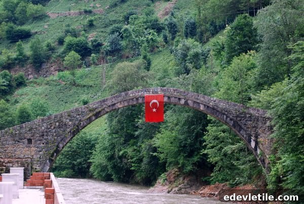 Bridge