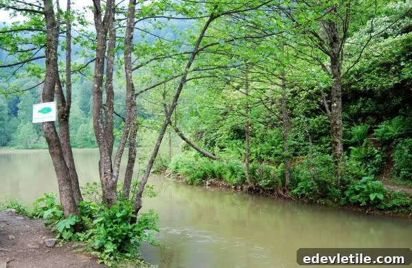 Black lake Karagol