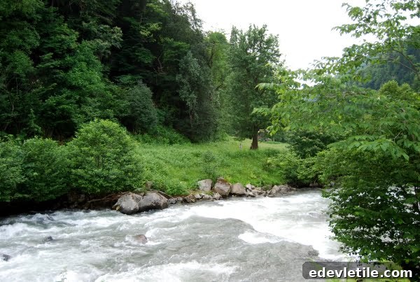 Efeler Valley