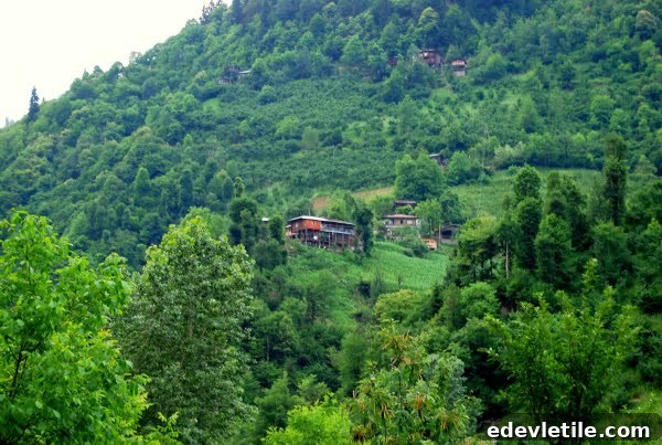 Houses of Efeler vadisi