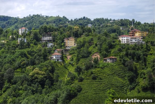 View of Rize