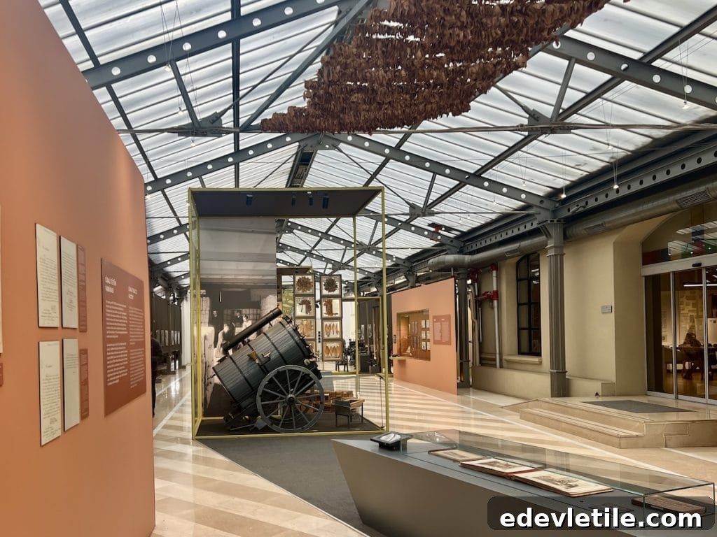 Bright, modern interior of the Rezan Has Museum in Balat featuring antique items, historical memorabilia, and a central cart under a glass roof.