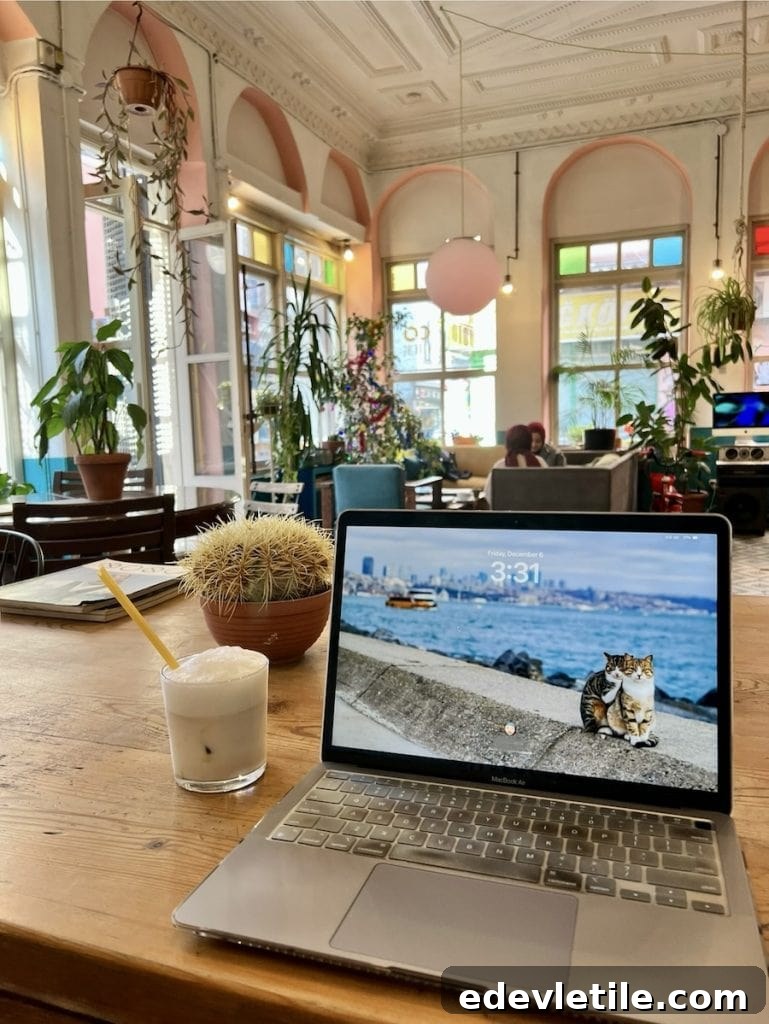 Airy interior of a Balat cafe with pastel furniture, plants, and high ceilings, featuring a laptop on a wooden table with a smoothie and cactus nearby.
