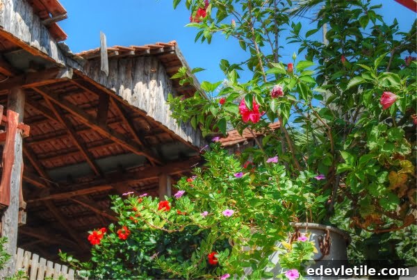 Simena houses
