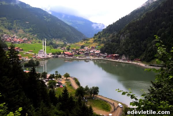 Uzungol
