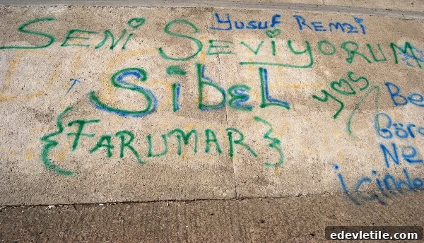 Seni Seviyorum