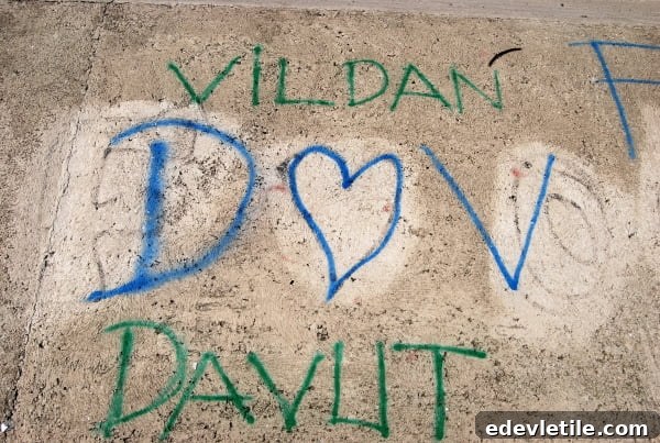Vildan and Davut are obviously a couple