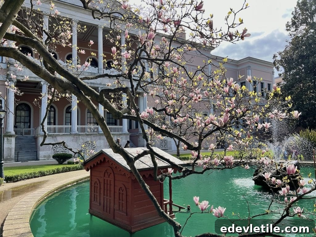 Spring scene in the Dolmabahce palace courtyard with blooming magnolia trees, a red wooden structure in a pond, and a fountain near a pink neoclassical building.