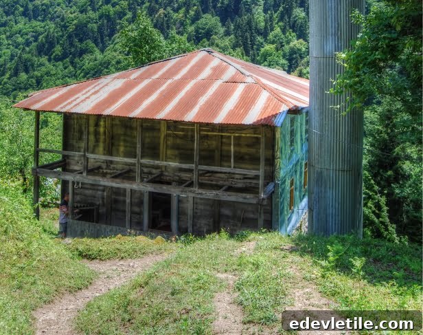 Wooden mosque in Maral