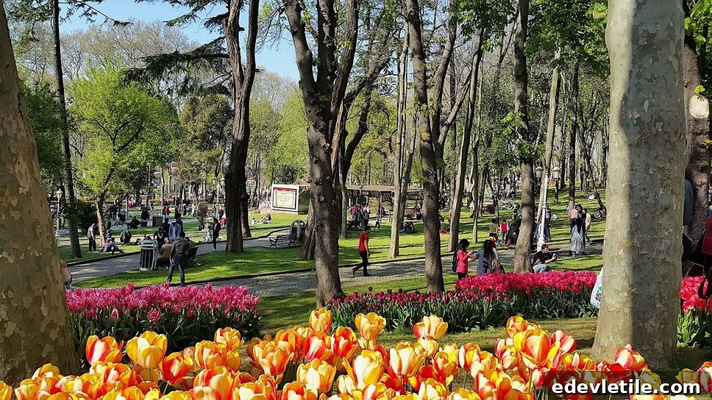 Blooming tulips in vibrant orange, yellow, and pink decorate Gülhane Park in spring, with people strolling beneath tall trees.