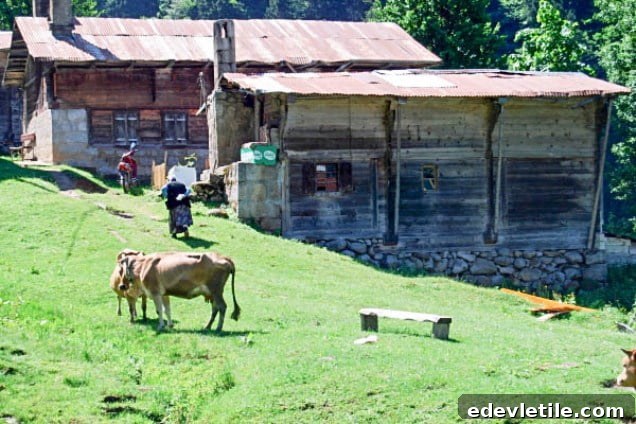 Locals of the Ayder Plateau