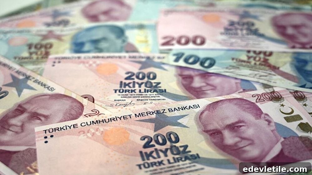 Close-up of Turkish Lira banknotes in various denominations, featuring the portrait of Mustafa Kemal Atatürk.