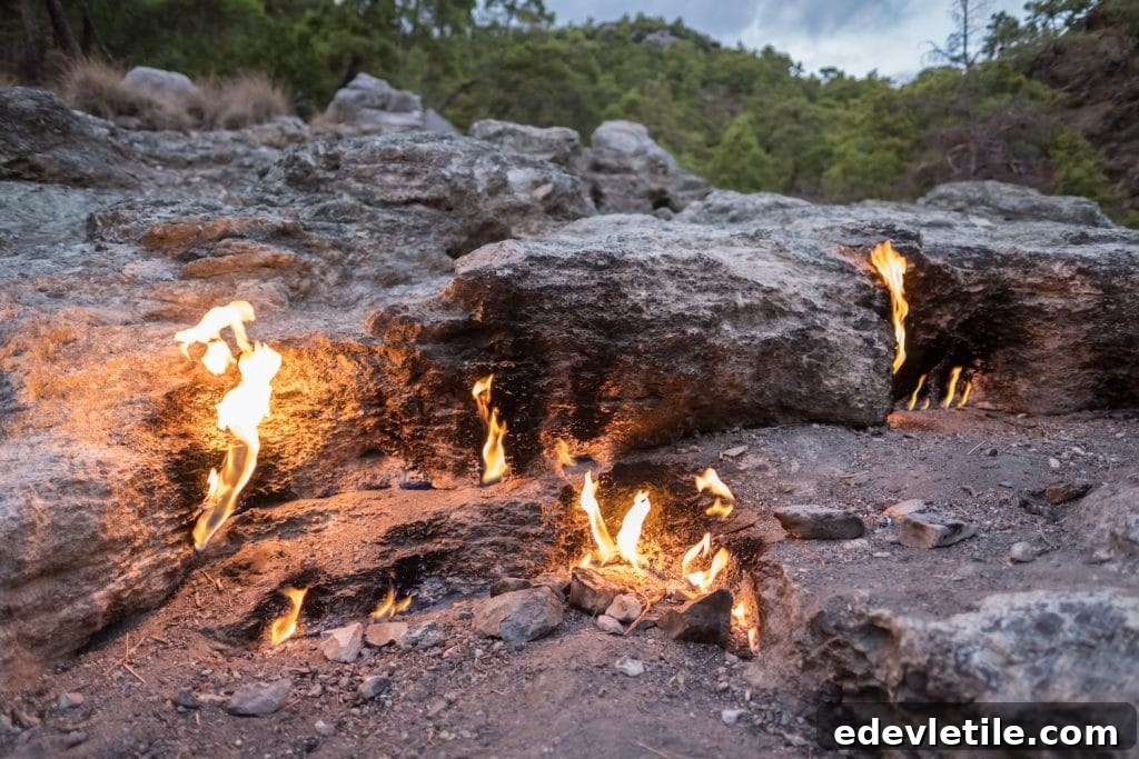 img 3828 10