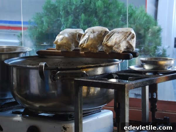 Sheeps heads