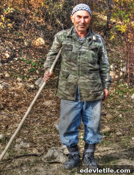Shepherd from Boyali