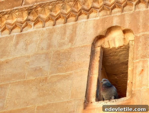 Sanliurfa - the city of Abraham