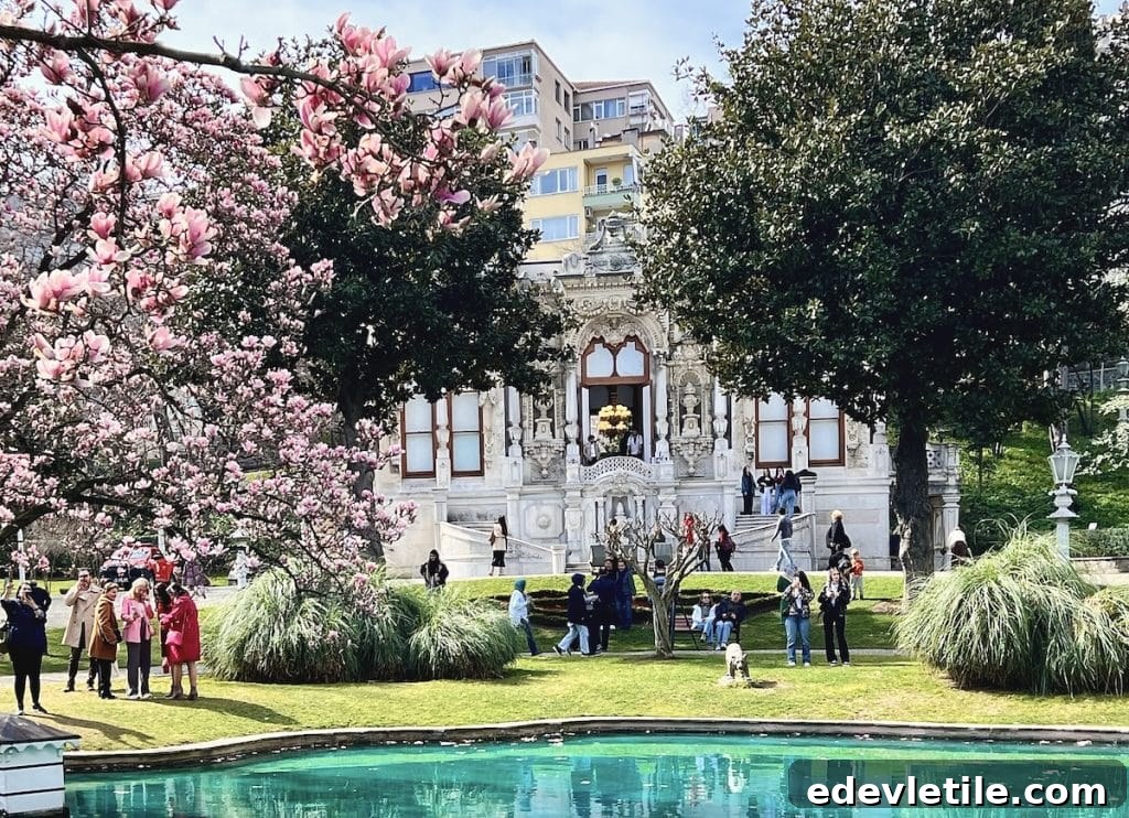 Spring magnolia blossoms in full bloom at the garden of Ihlamur Palace in Istanbul, with visitors enjoying the seasonal beauty.