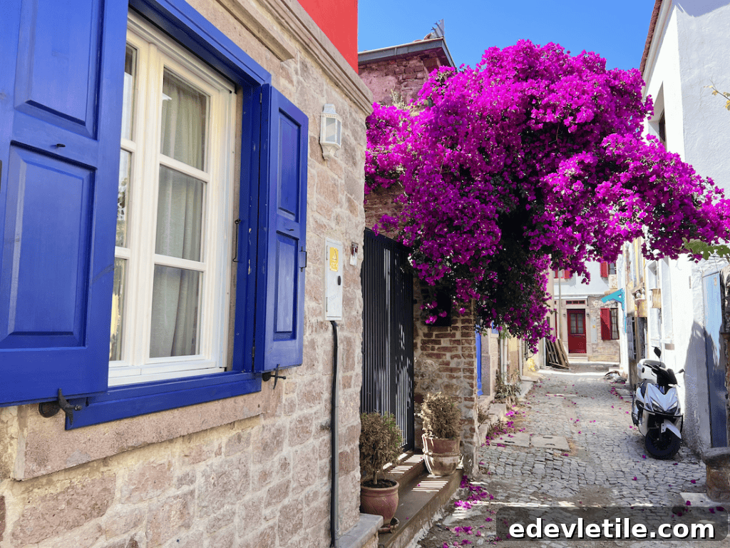 Charming cobblestone alley in Ayvalık, Aegean Turkey, featuring a bright blue window and a cascade of blooming magenta bougainvillea.