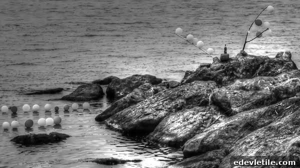Balloons on the coastline