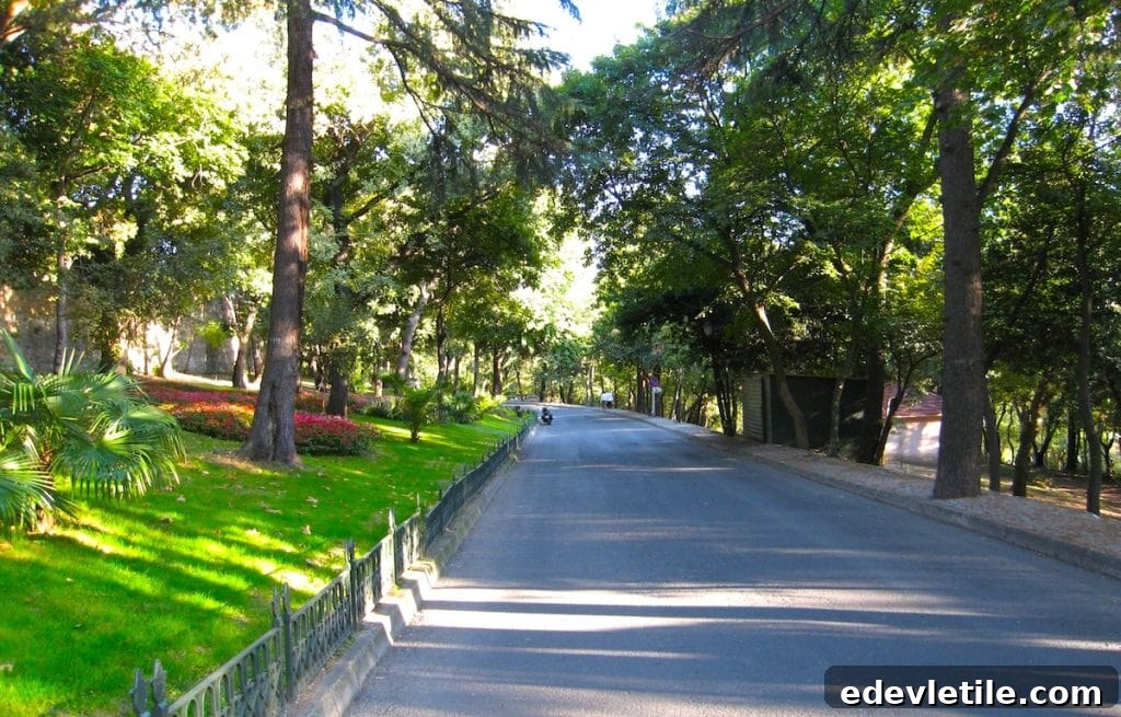 Peaceful road winding through Yıldız Park, lined with tall trees, green grass, and vibrant flower beds under soft afternoon light.