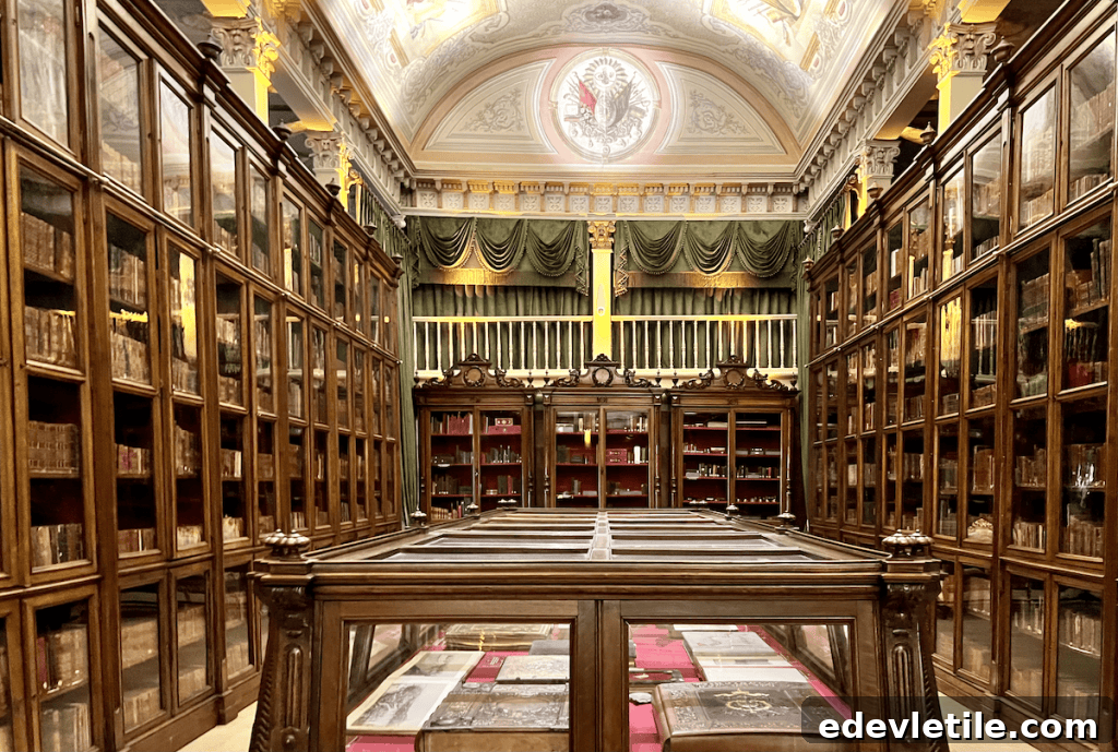 Imperial library inside Yıldız Palace. Grand library hall with tall wooden bookcases, arched ceiling art, and glass display cases filled with rare historical books and manuscripts.