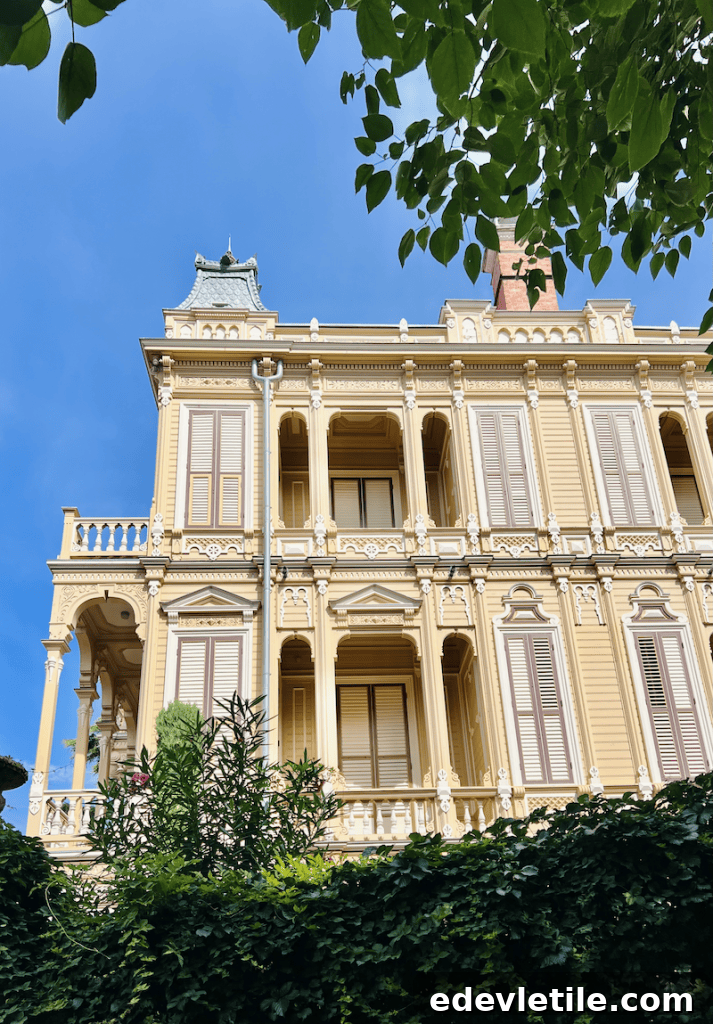 Wooden mansion 1
