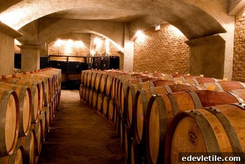 Wines of Turkey