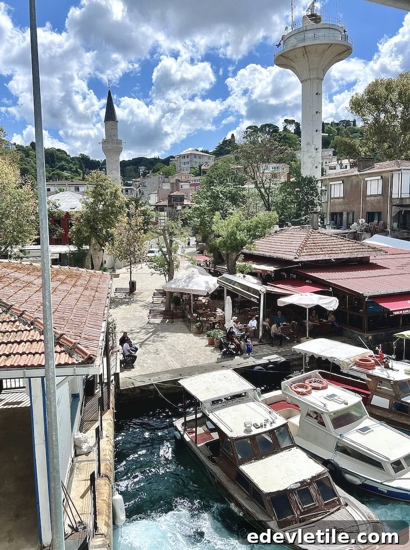 Bosphorus panorama