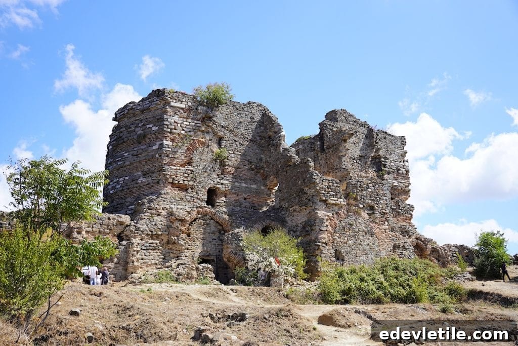 Yoros Castle view