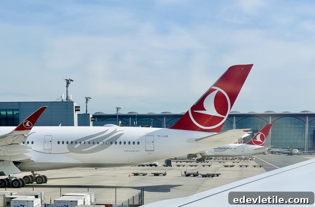 Turkish Airlines planes with red crescent tail logos parked at Istanbul Airport, with glass terminal buildings in the background.