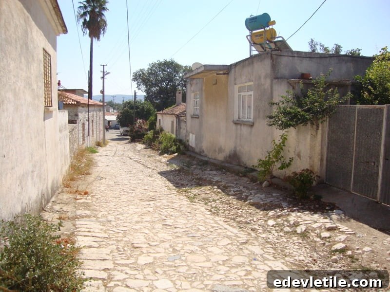 Turkish village