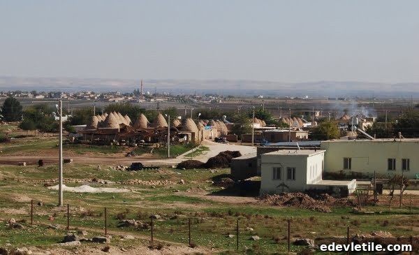 THe beehive houses of harran