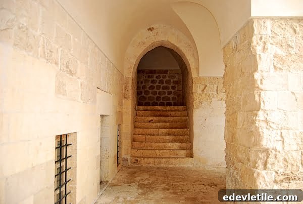 Mardin Medresesi