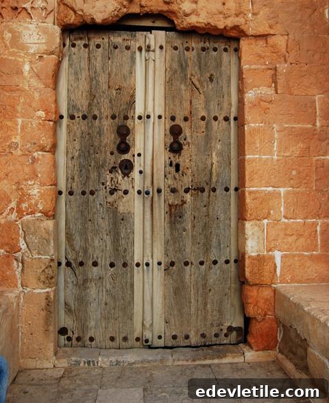 Door