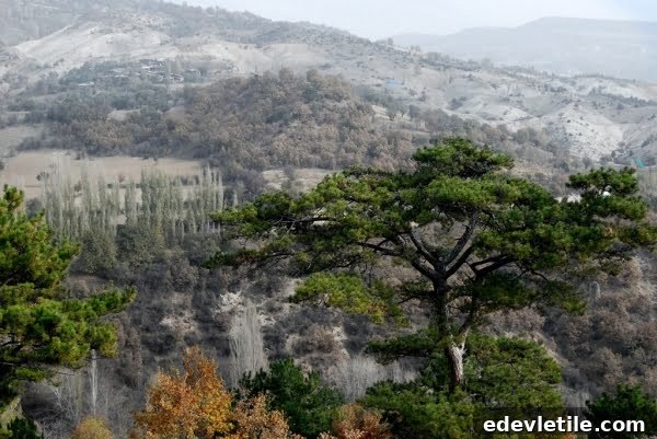 Boyali Village