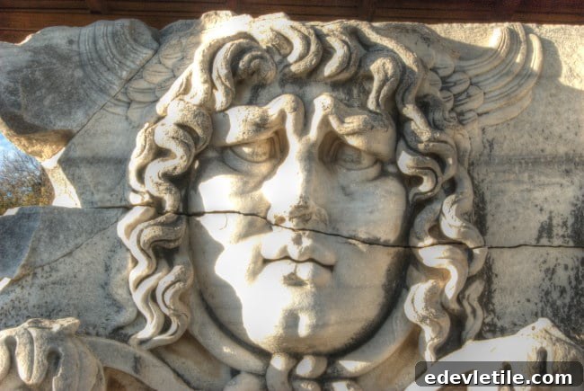 Head of Medusa