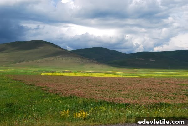 Driving to Kars