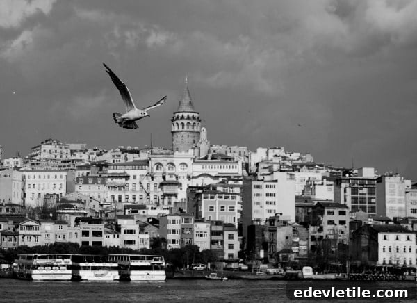 Galata Tower