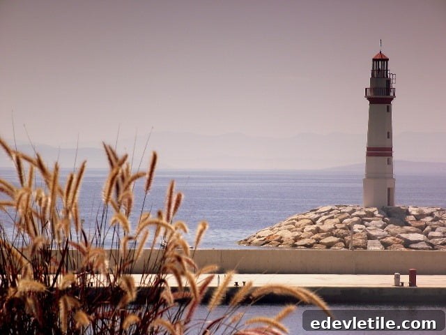 Aegean coast