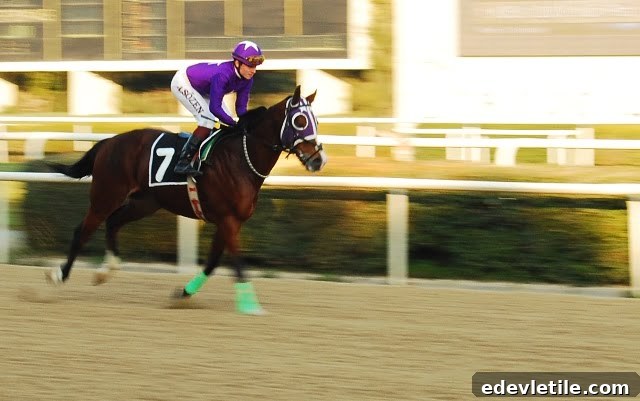 Izmir horse races