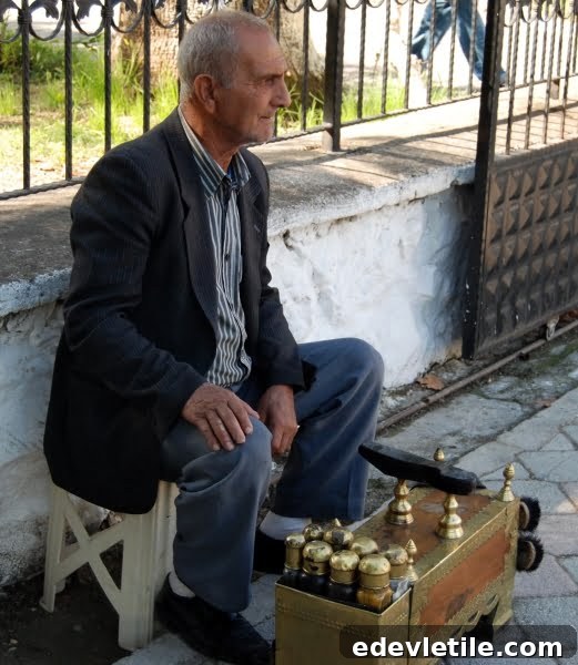 Shoe cleaner