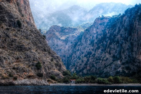 butterfly valley