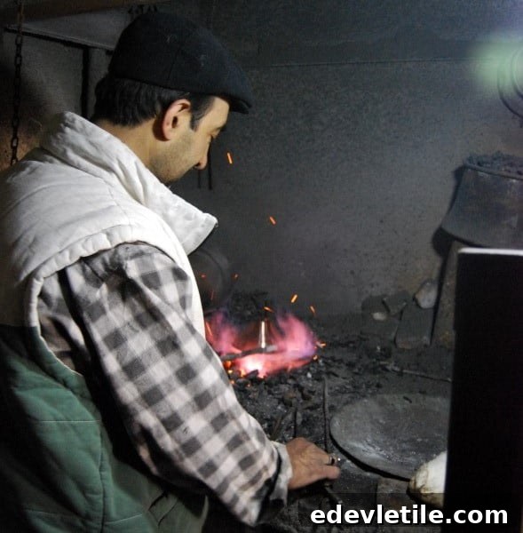 Turkish coppersmith