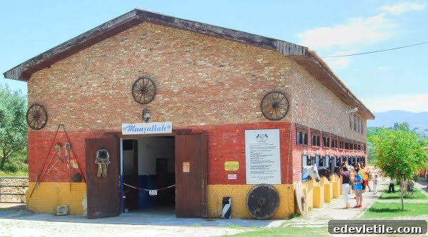 Degirmen Farm, Horse Ranch Kusadasi