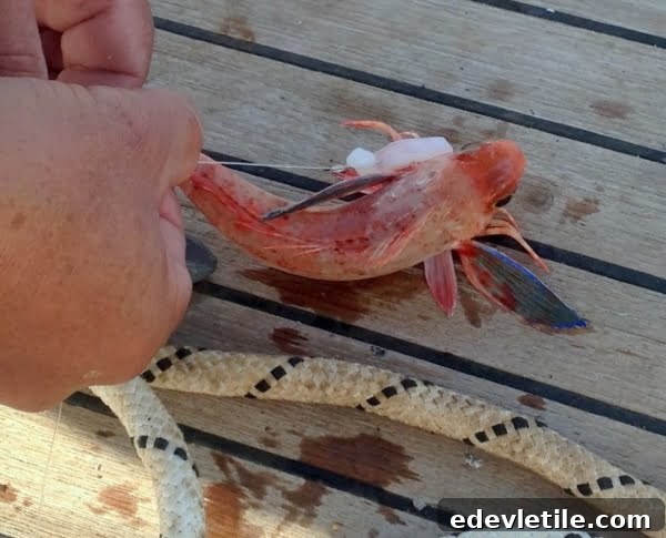 Fishing in Turkey