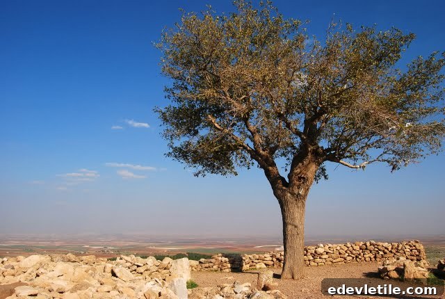 Gobeklitepe view