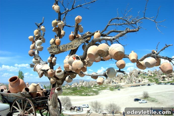 Pottery Tree of Goreme