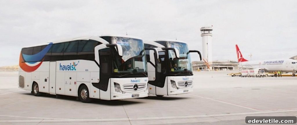 Two Havaist airport buses parked at the terminal with a Turkish Airlines plane and air traffic control tower in the background.